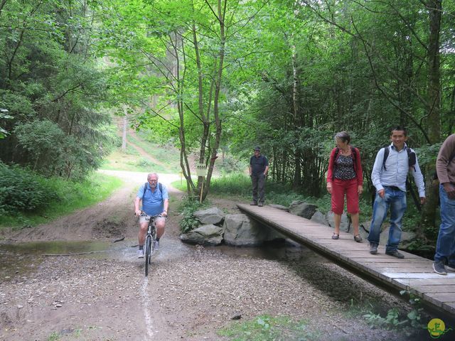 Randonnée joëlettes à Habay-la-Neuve