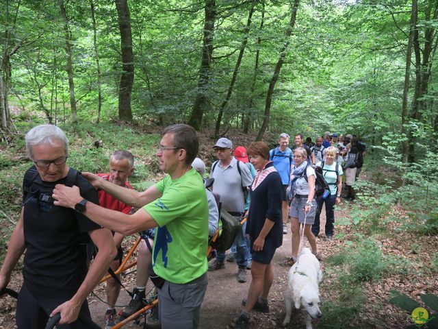 Randonnée joëlettes à Habay-la-Neuve