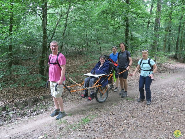 Randonnée joëlettes à Habay-la-Neuve