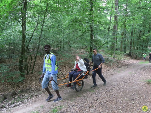 Randonnée joëlettes à Habay-la-Neuve