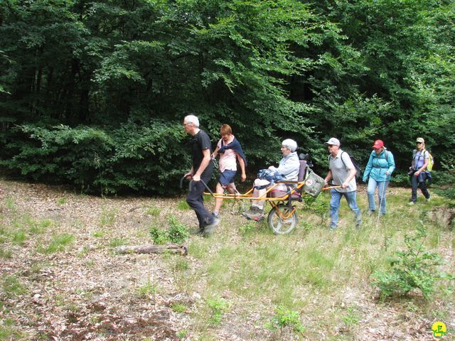 Randonnée joëlettes à Habay-la-Neuve