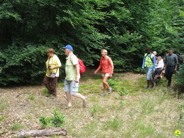 Randonnée joëlettes à Habay-la-Neuve