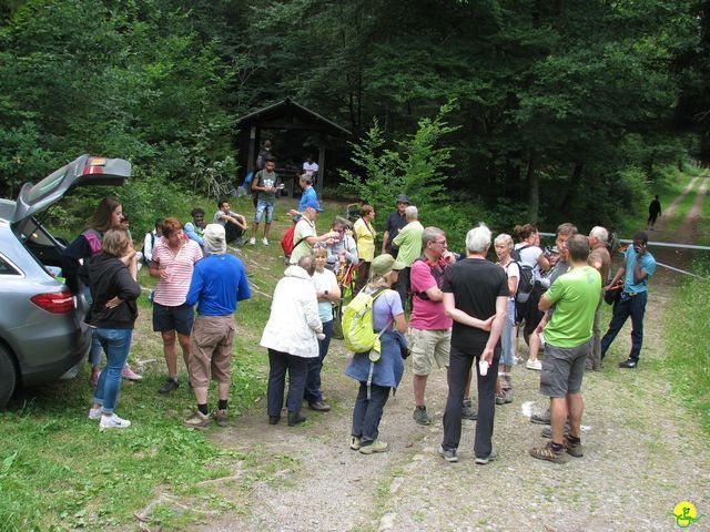 Randonnée joëlettes à Habay-la-Neuve