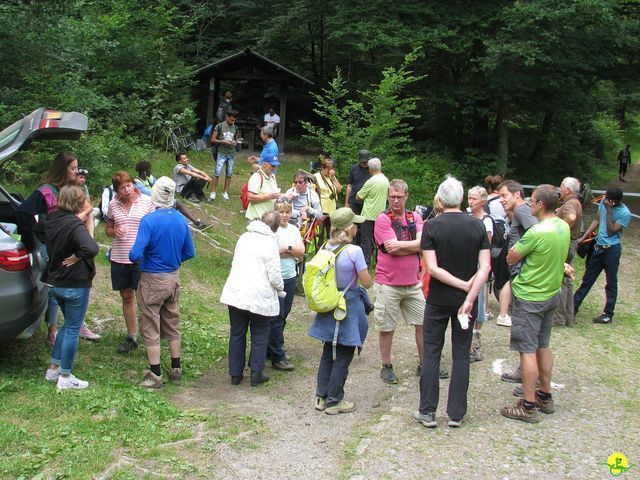 Randonnée joëlettes à Habay-la-Neuve