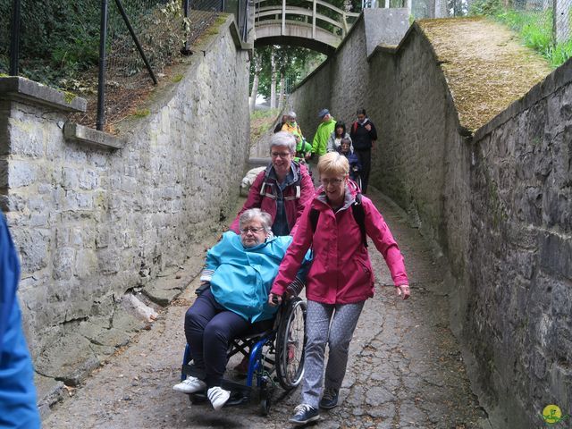 Randonnée joëlettes à Dinant