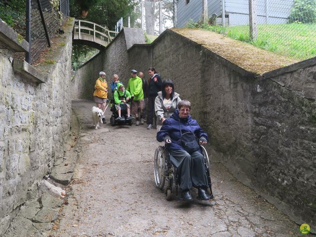 Randonnée joëlettes à Dinant