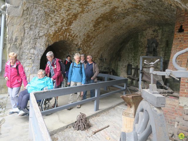 Randonnée joëlettes à Dinant