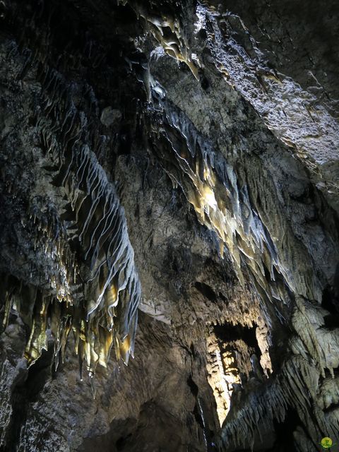 Randonnée joëlettes à Han-sur-Lesse