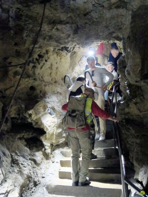 Randonnée joëlettes à Han-sur-Lesse