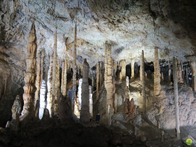 Randonnée joëlettes à Han-sur-Lesse