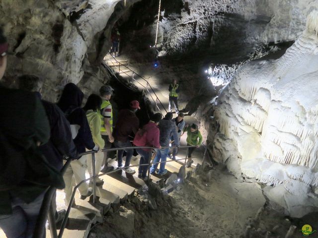 Randonnée joëlettes à Han-sur-Lesse