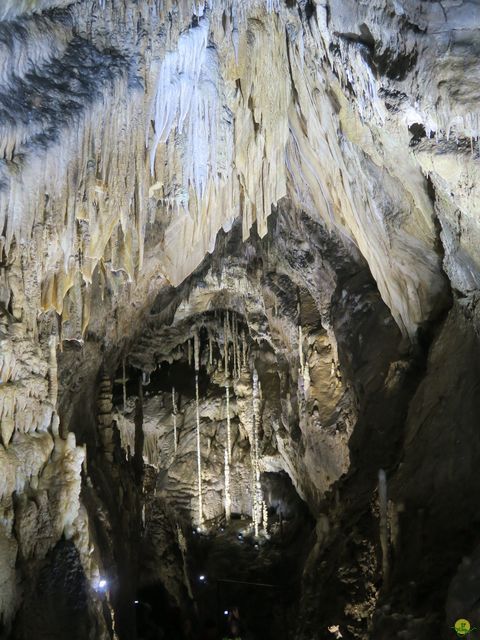 Randonnée joëlettes à Han-sur-Lesse