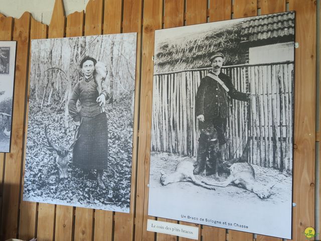 Randonnée joëlettes à Nouan-le-Fuzelier