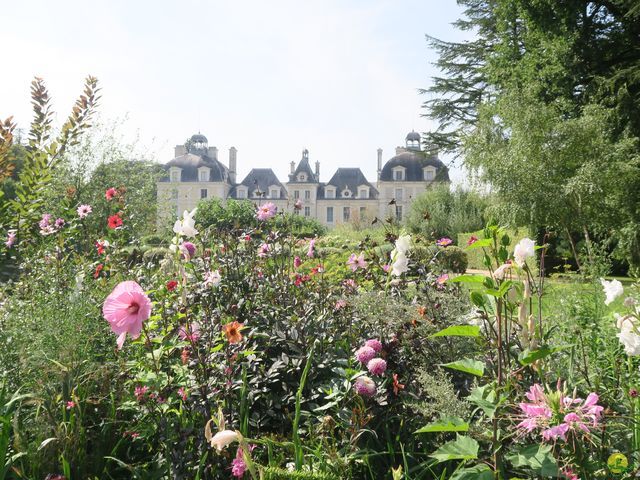 Randonnée joëlettes à Nouan-le-Fuzelier