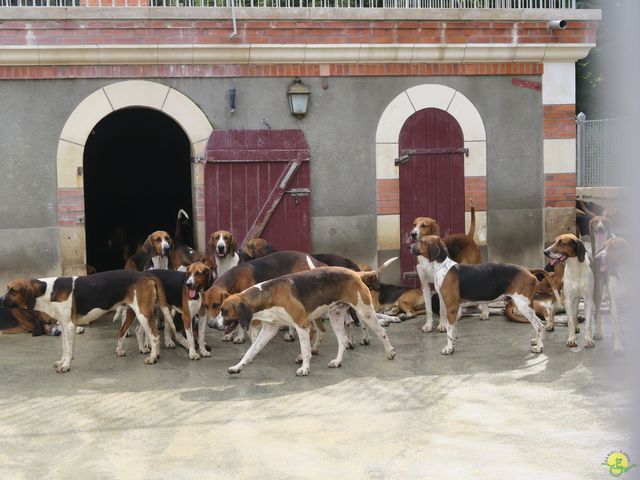 Randonnée joëlettes à Nouan-le-Fuzelier