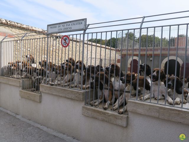 Randonnée joëlettes à Nouan-le-Fuzelier