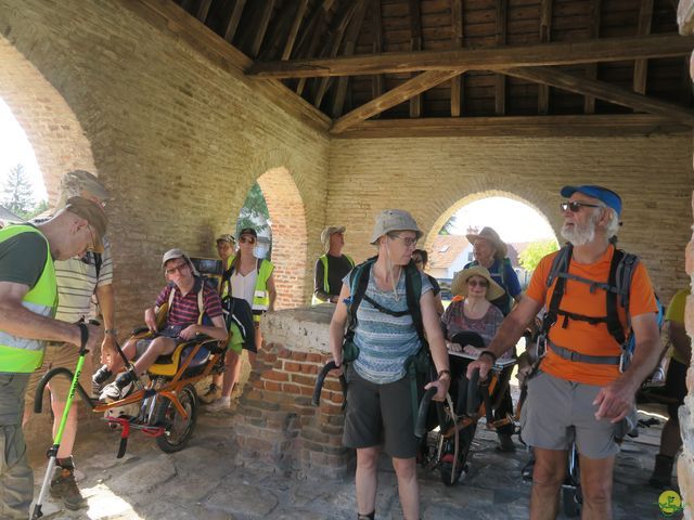 Randonnée joëlettes à Nouan-le-Fuzelier