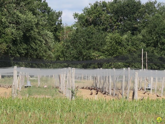 Randonnée joëlettes à Nouan-le-Fuzelier