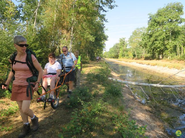 Randonnée joëlettes à Nouan-le-Fuzelier