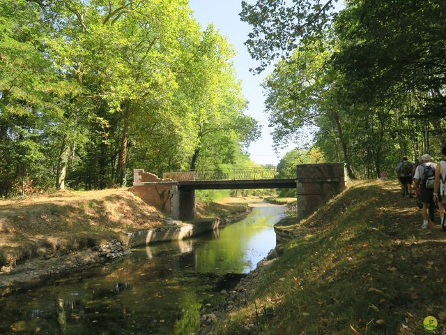 Randonnée joëlettes à Nouan-le-Fuzelier