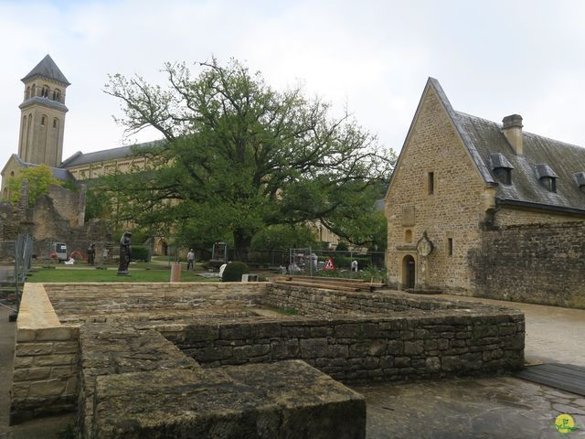 Randonnée joëlettes à Orval