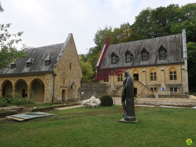 Randonnée joëlettes à Orval