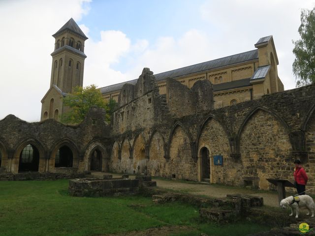 Randonnée joëlettes à Orval