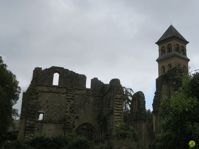 Randonnée joëlettes à Orval