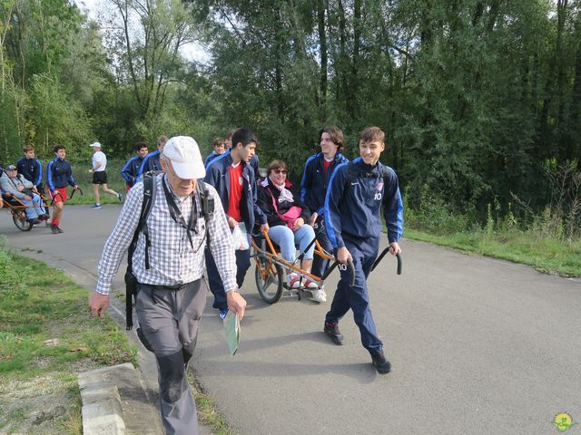 Randonnée joëlettes à Boitsfort