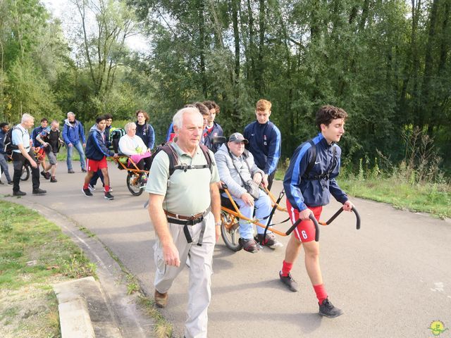 Randonnée joëlettes à Boitsfort