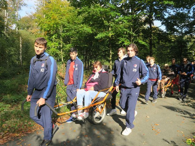 Randonnée joëlettes à Boitsfort