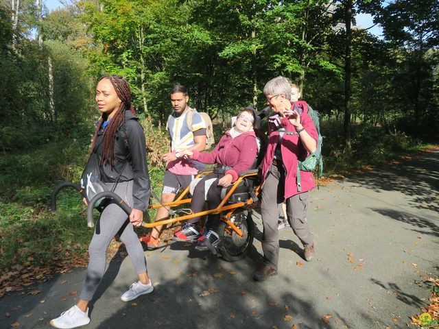 Randonnée joëlettes à Boitsfort