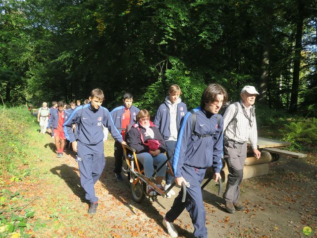 Randonnée joëlettes à Boitsfort