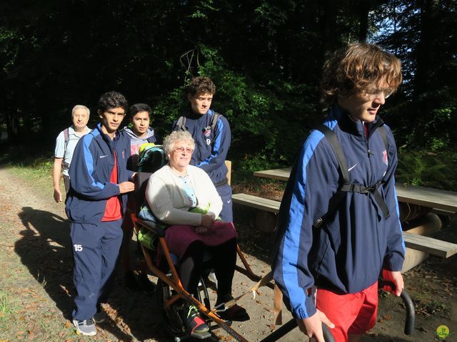 Randonnée joëlettes à Boitsfort