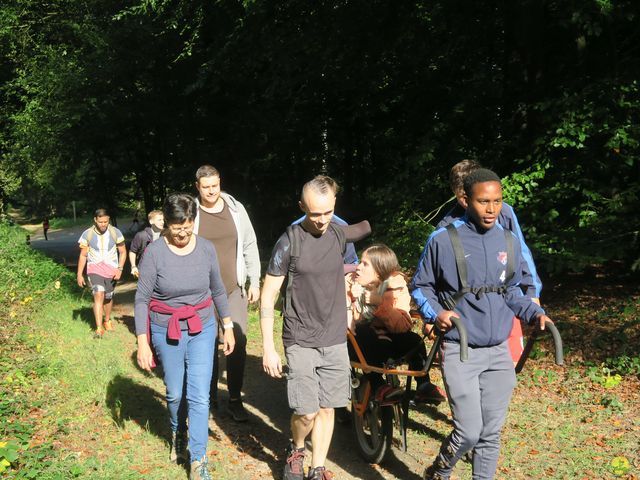 Randonnée joëlettes à Boitsfort