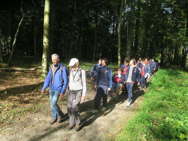 Randonnée joëlettes à Boitsfort