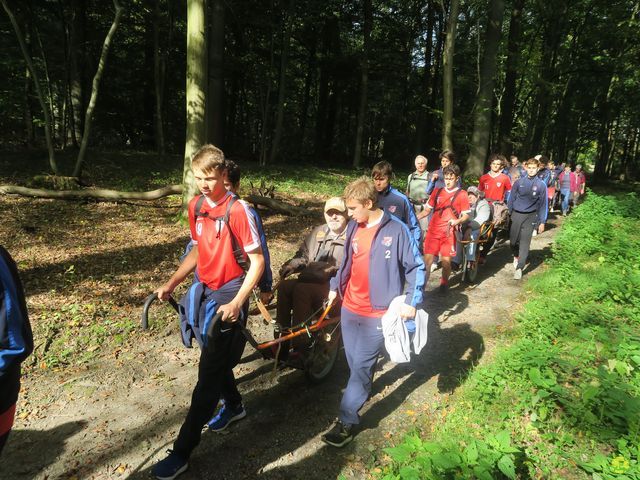 Randonnée joëlettes à Boitsfort