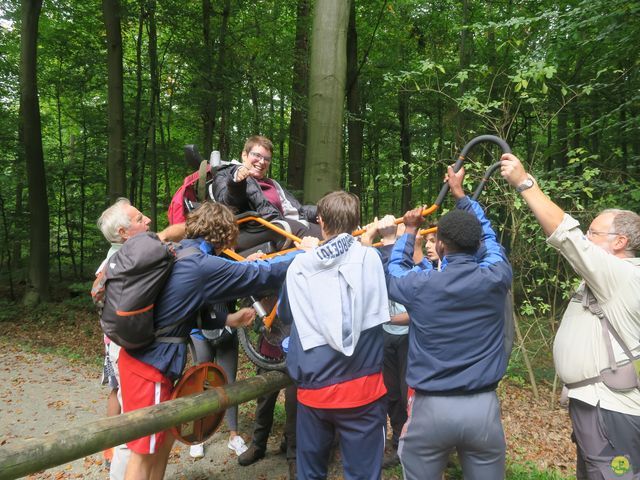 Randonnée joëlettes à Boitsfort