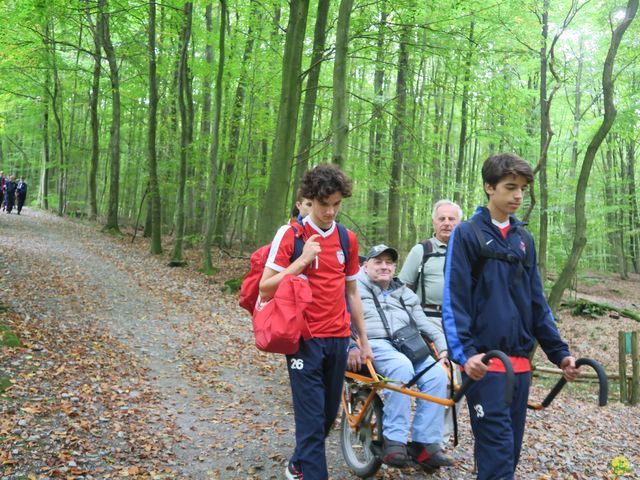 Randonnée joëlettes à Boitsfort