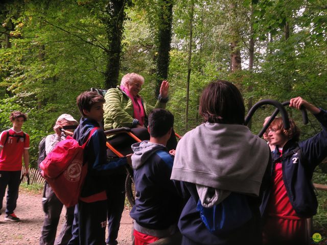 Randonnée joëlettes à Boitsfort