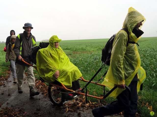 Randonnée joëlettes à Feluy