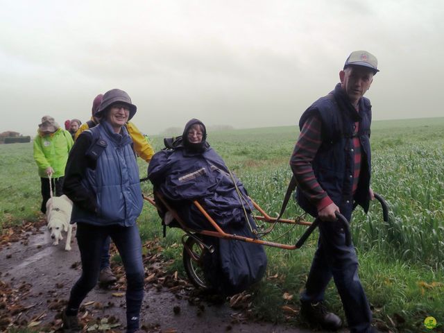 Randonnée joëlettes à Feluy