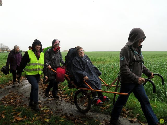 Randonnée joëlettes à Feluy