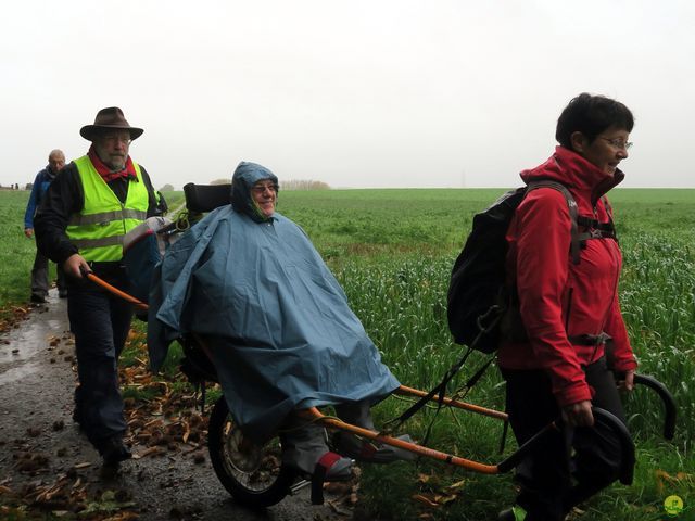 Randonnée joëlettes à Feluy