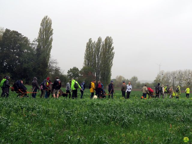 Randonnée joëlettes à Feluy