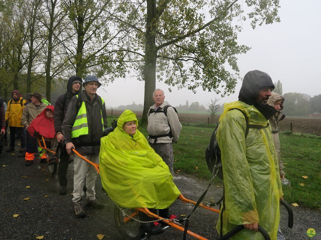 Randonnée joëlettes à Feluy