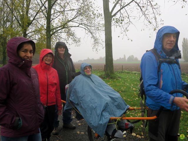 Randonnée joëlettes à Feluy