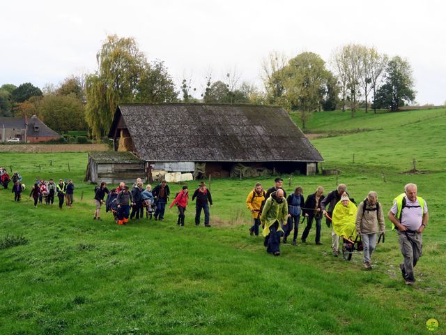 Randonnée joëlettes à Feluy