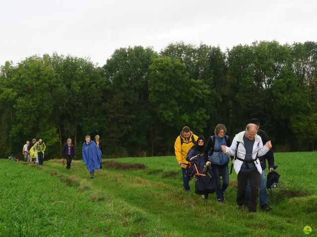 Randonnée joëlettes à Feluy