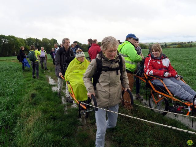 Randonnée joëlettes à Feluy